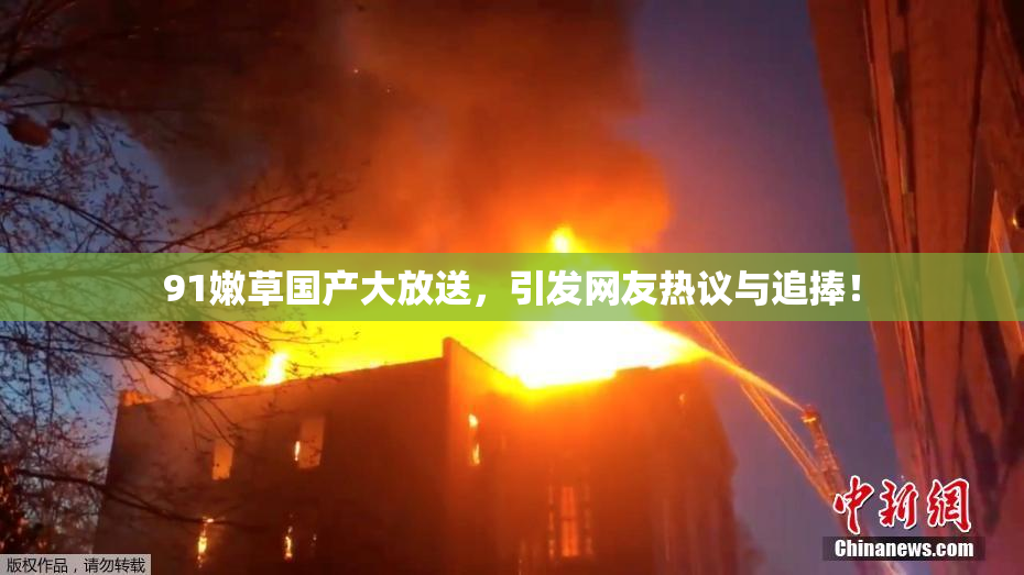 91嫩草国产大放送，引发网友热议与追捧！