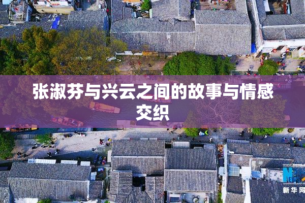 张淑芬与兴云之间的故事与情感交织