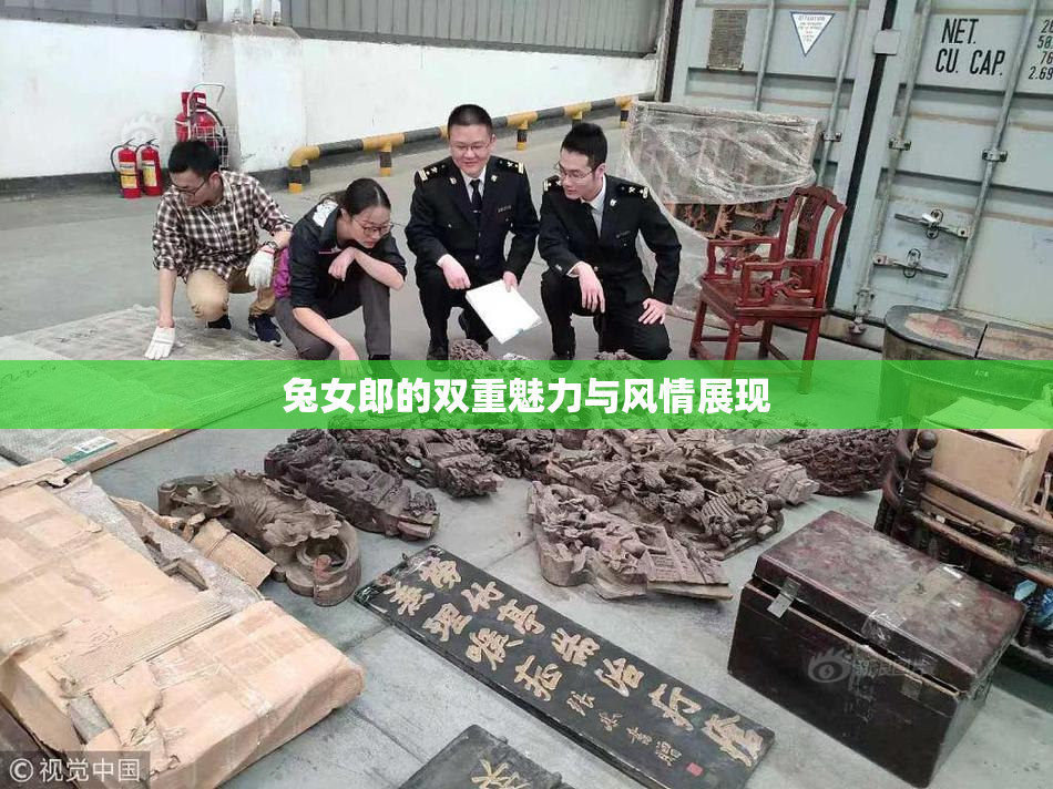 兔女郎的双重魅力与风情展现