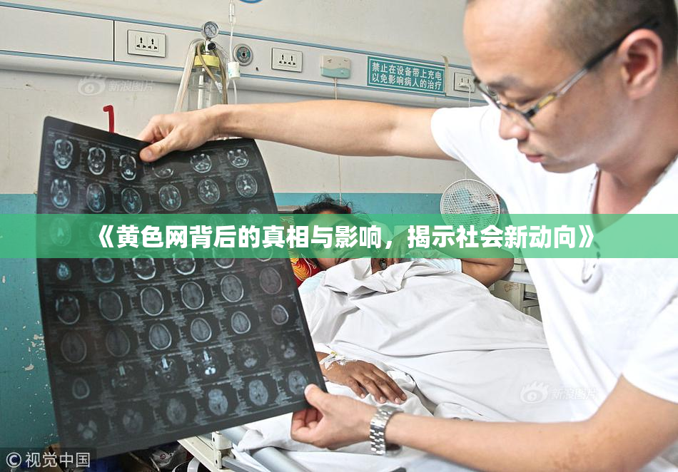 《黄色网背后的真相与影响，揭示社会新动向》