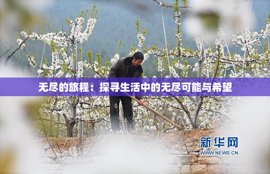 无尽的旅程：探寻生活中的无尽可能与希望