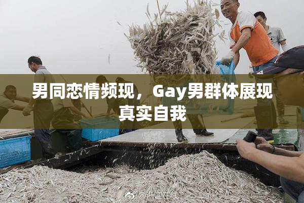 男同恋情频现，Gay男群体展现真实自我