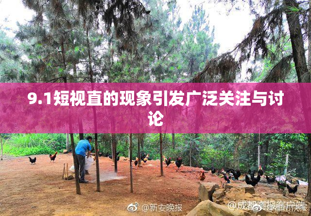 9.1短视直的现象引发广泛关注与讨论