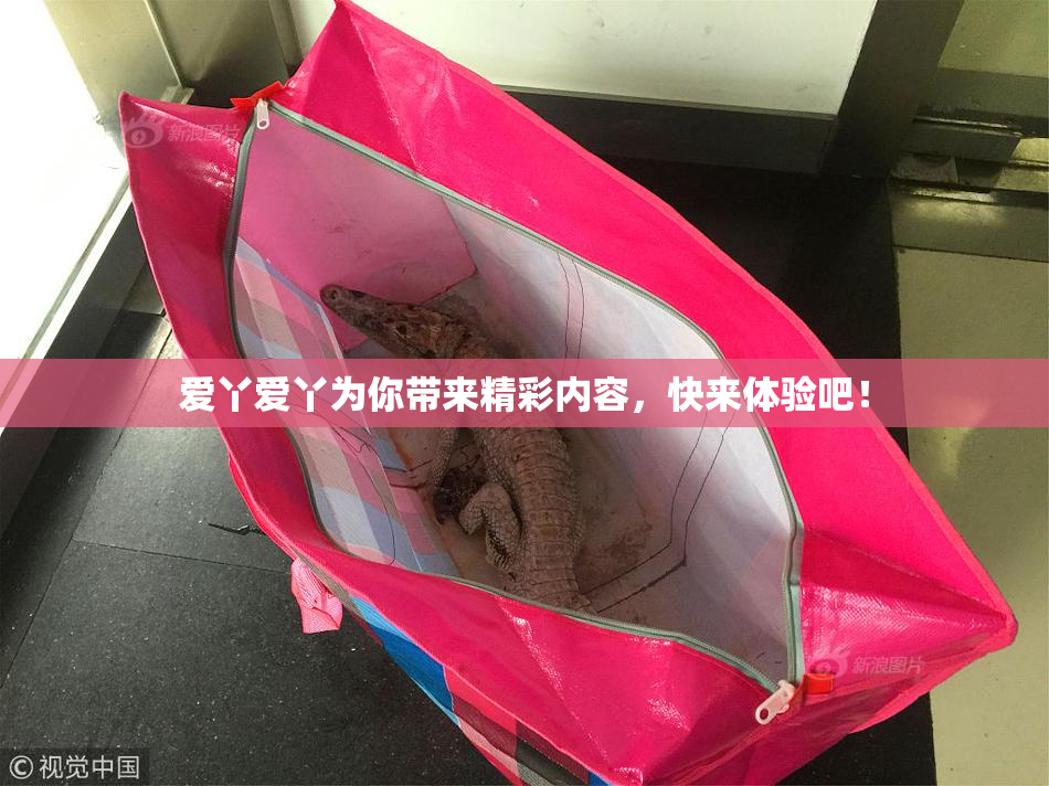 爱丫爱丫为你带来精彩内容，快来体验吧！