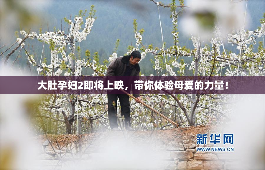 大肚孕妇2即将上映，带你体验母爱的力量！