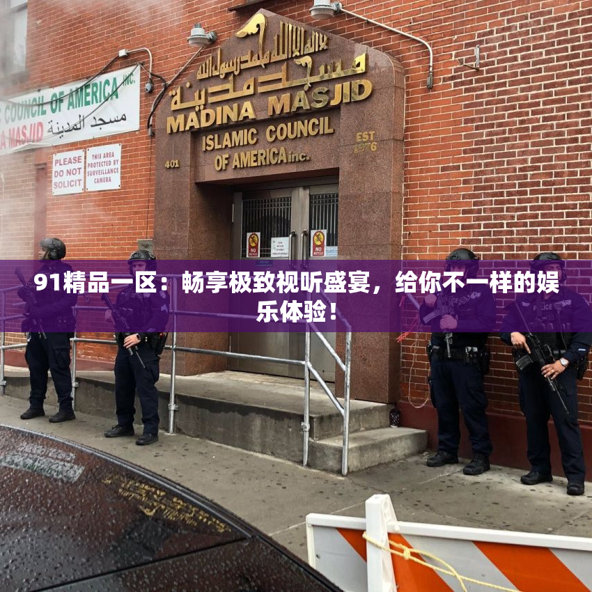 91精品一区：畅享极致视听盛宴，给你不一样的娱乐体验！