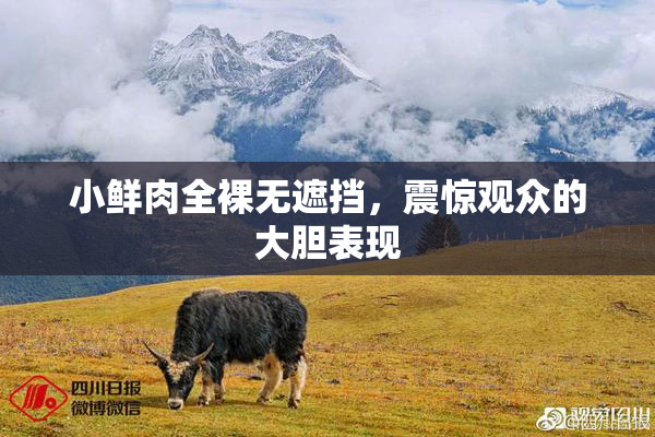 小鲜肉全裸无遮挡，震惊观众的大胆表现