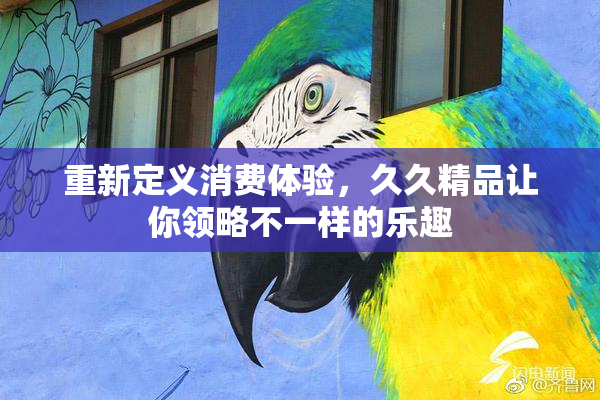 重新定义消费体验，久久精品让你领略不一样的乐趣