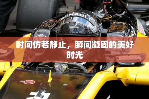 时间仿若静止，瞬间凝固的美好时光