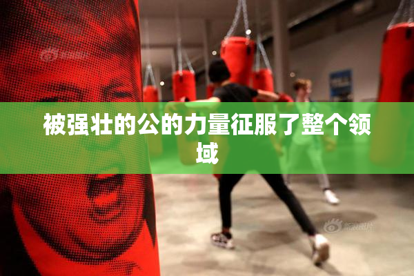 被强壮的公的力量征服了整个领域