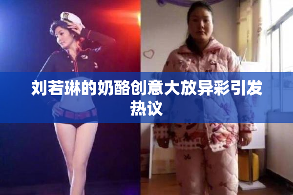 刘若琳的奶酪创意大放异彩引发热议