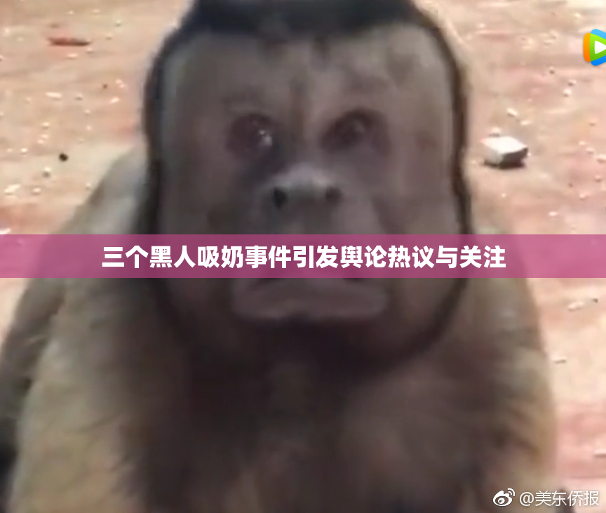三个黑人吸奶事件引发舆论热议与关注