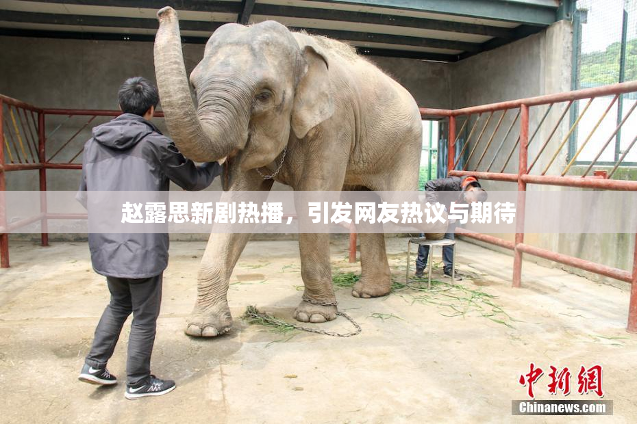 赵露思新剧热播，引发网友热议与期待