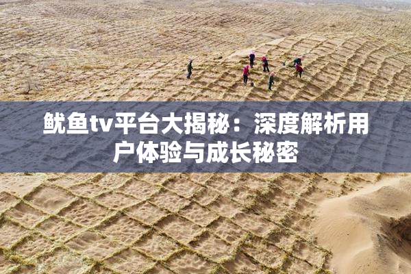 鱿鱼tv平台大揭秘：深度解析用户体验与成长秘密