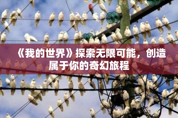 《我的世界》探索无限可能，创造属于你的奇幻旅程