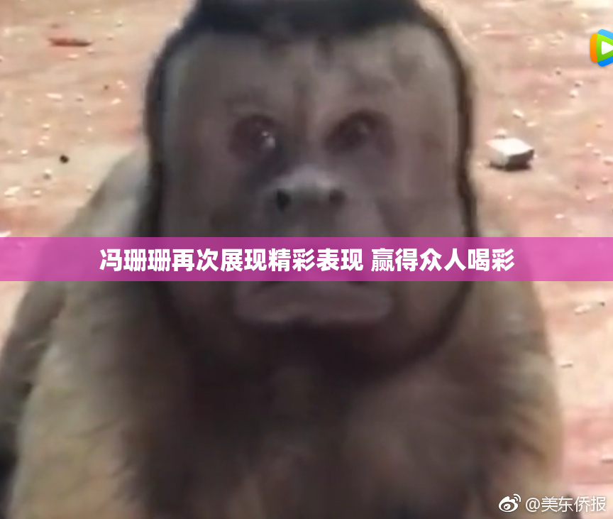 冯珊珊再次展现精彩表现 赢得众人喝彩