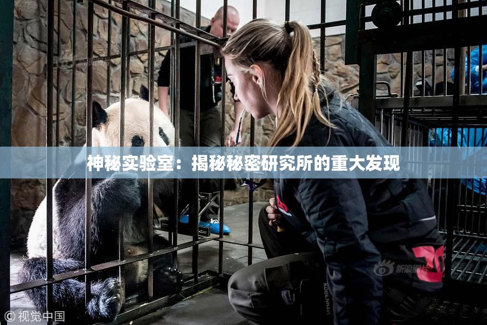 神秘实验室：揭秘秘密研究所的重大发现