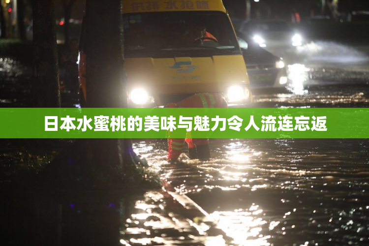 日本水蜜桃的美味与魅力令人流连忘返