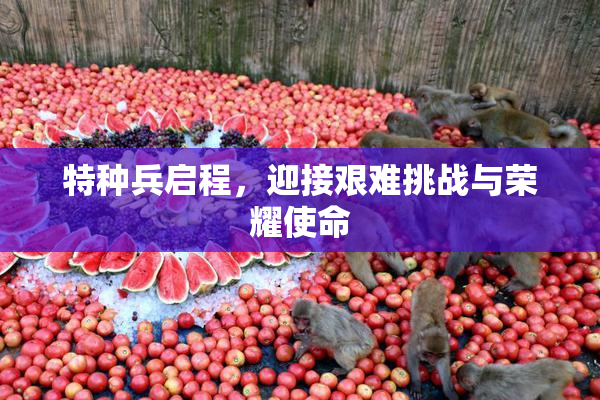 特种兵启程，迎接艰难挑战与荣耀使命