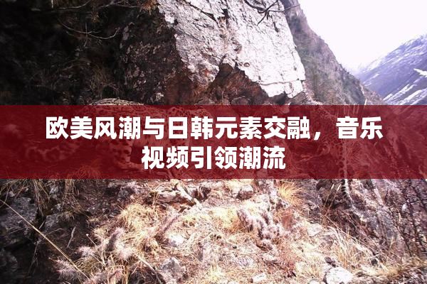 欧美风潮与日韩元素交融，音乐视频引领潮流