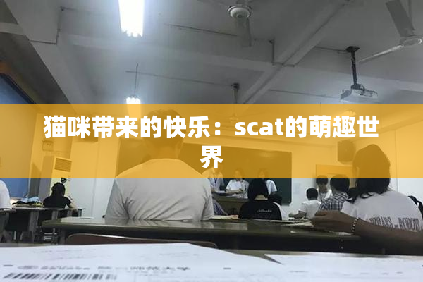 猫咪带来的快乐：scat的萌趣世界