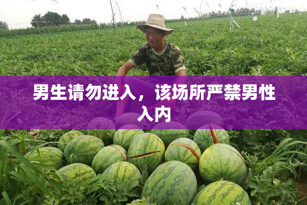 男生请勿进入，该场所严禁男性入内