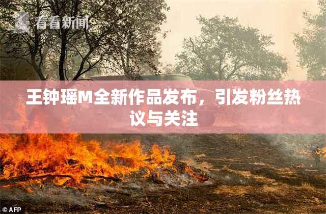 王钟瑶M全新作品发布，引发粉丝热议与关注