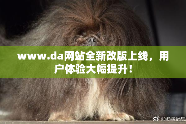 www.da网站全新改版上线，用户体验大幅提升！