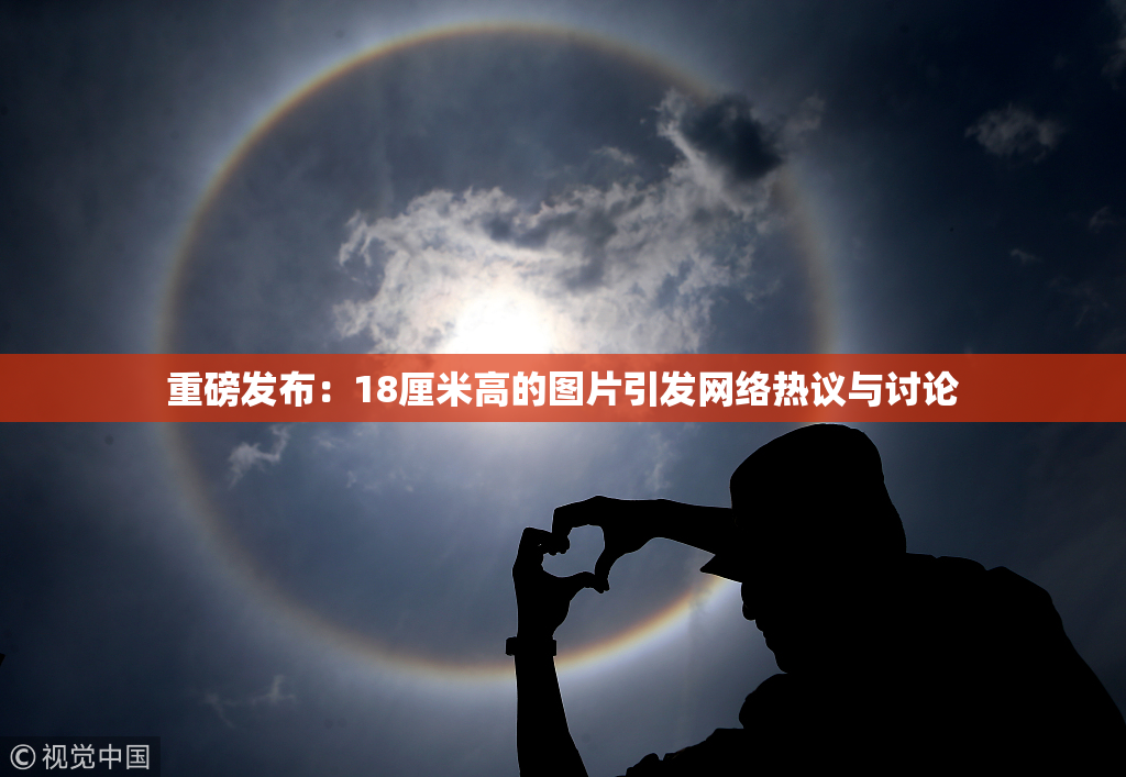 重磅发布：18厘米高的图片引发网络热议与讨论