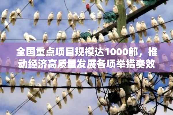 全国重点项目规模达1000部，推动经济高质量发展各项举措奏效