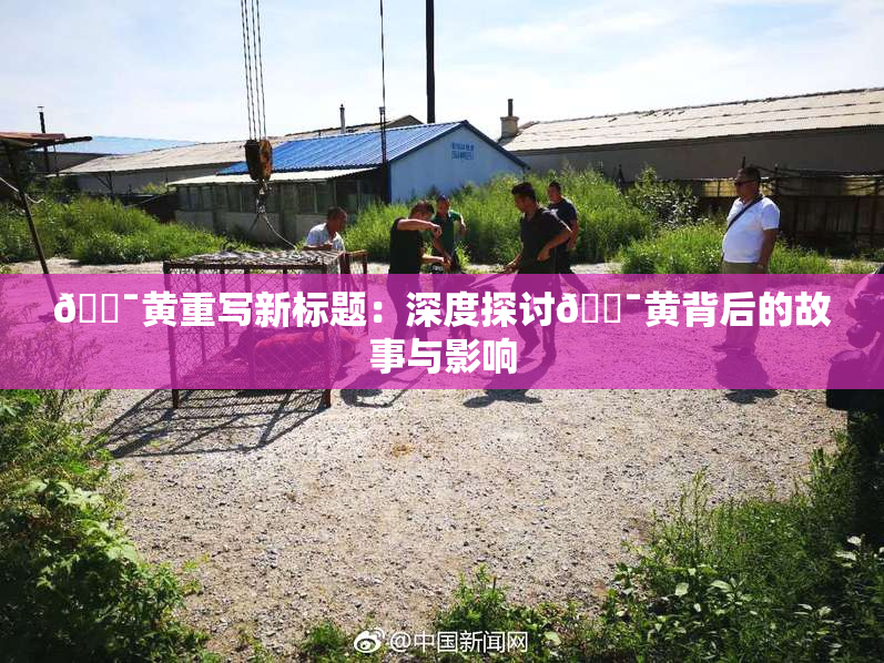 🔯黄重写新标题：深度探讨🔯黄背后的故事与影响