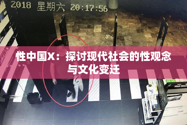 性中国X：探讨现代社会的性观念与文化变迁