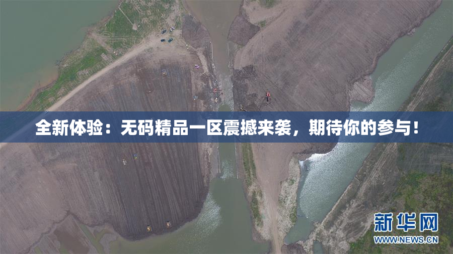 全新体验：无码精品一区震撼来袭，期待你的参与！