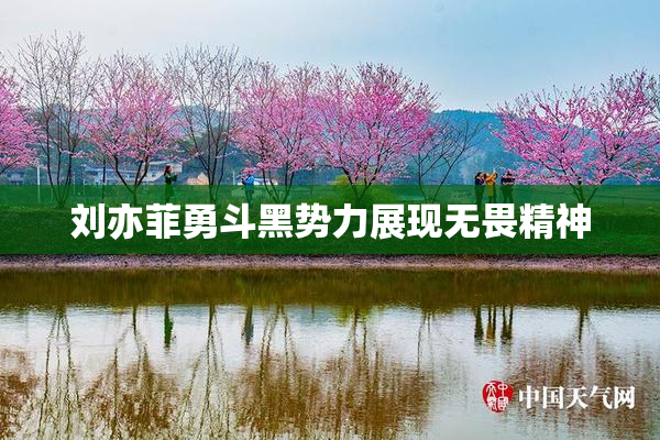 刘亦菲勇斗黑势力展现无畏精神