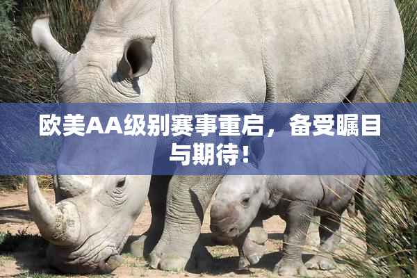 欧美AA级别赛事重启，备受瞩目与期待！