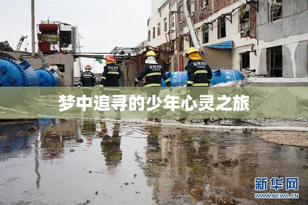 梦中追寻的少年心灵之旅
