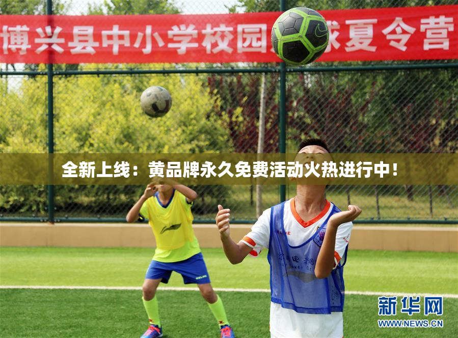 全新上线：黄品牌永久免费活动火热进行中！
