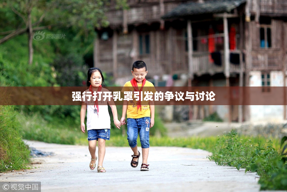 强行打开乳罩引发的争议与讨论