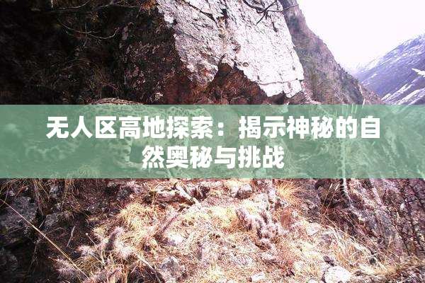 无人区高地探索：揭示神秘的自然奥秘与挑战