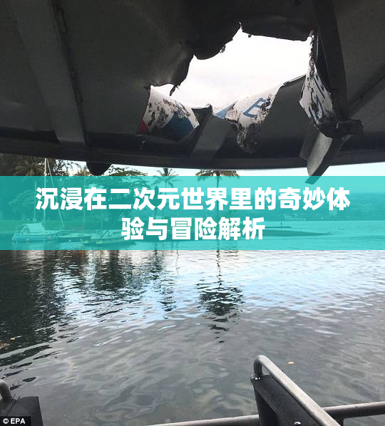 沉浸在二次元世界里的奇妙体验与冒险解析