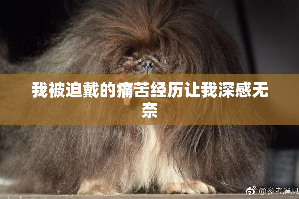 我被迫戴的痛苦经历让我深感无奈