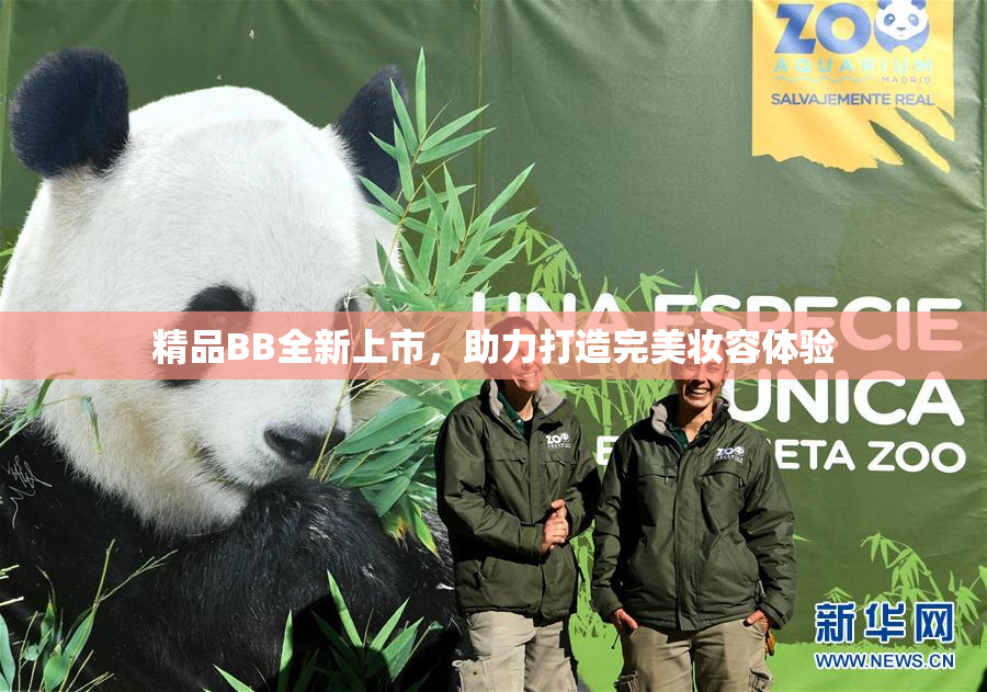 精品BB全新上市，助力打造完美妆容体验