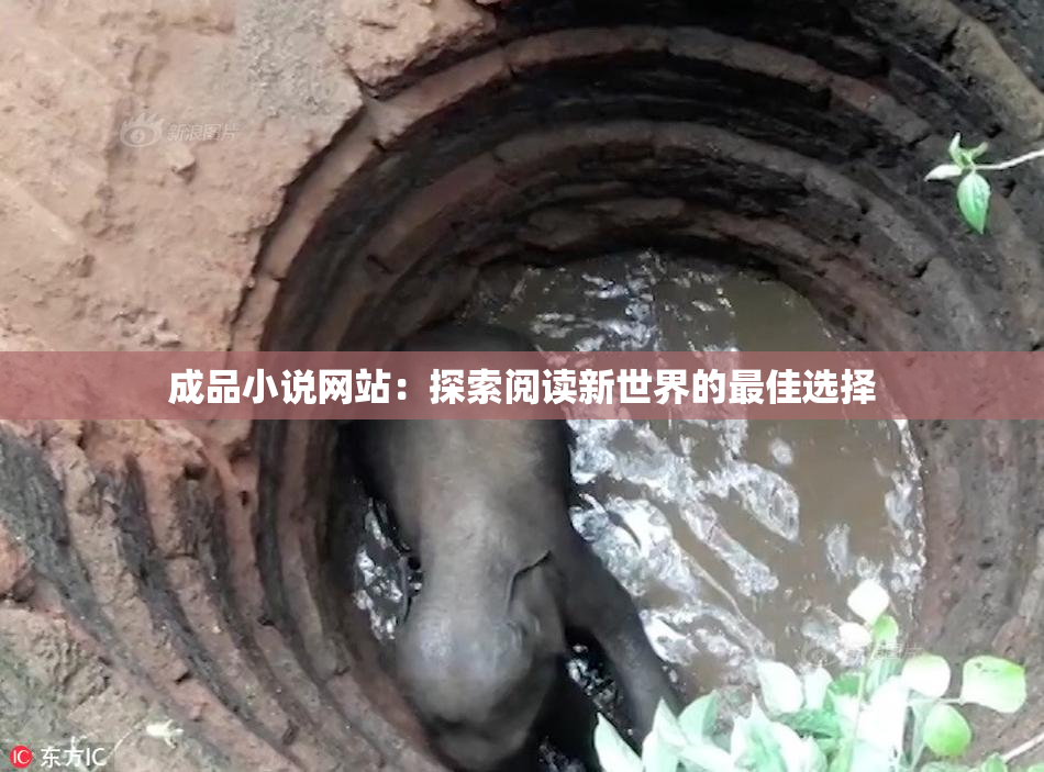 成品小说网站：探索阅读新世界的最佳选择