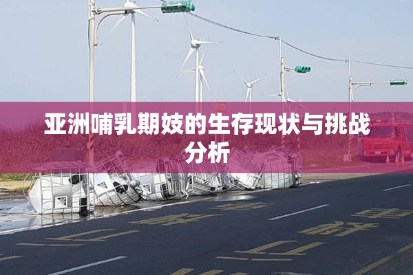 亚洲哺乳期妓的生存现状与挑战分析