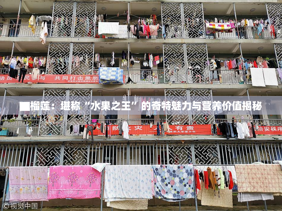 ▇榴莲：堪称“水果之王”的奇特魅力与营养价值揭秘