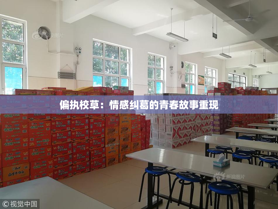 偏执校草：情感纠葛的青春故事重现
