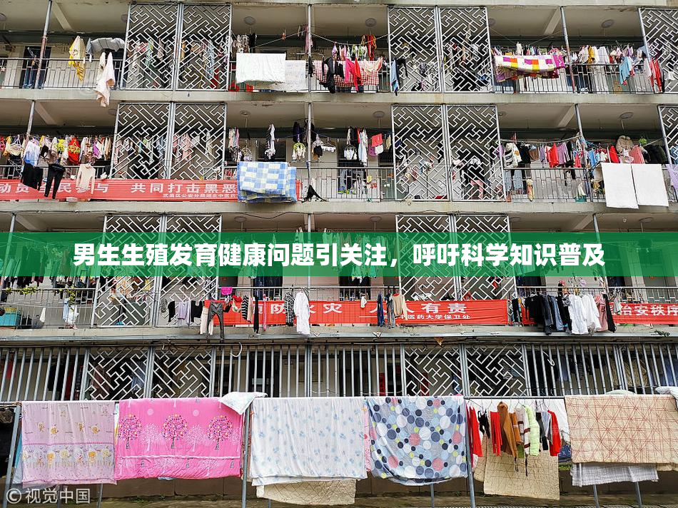 男生生殖发育健康问题引关注，呼吁科学知识普及