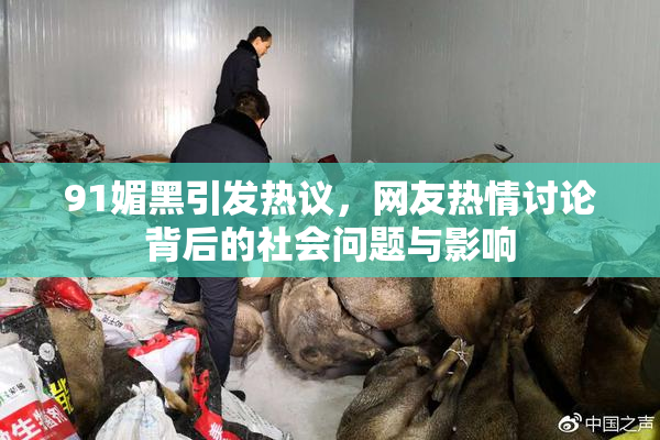 91媚黑引发热议，网友热情讨论背后的社会问题与影响