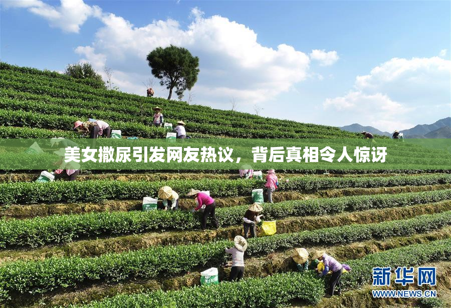 美女撒尿引发网友热议，背后真相令人惊讶