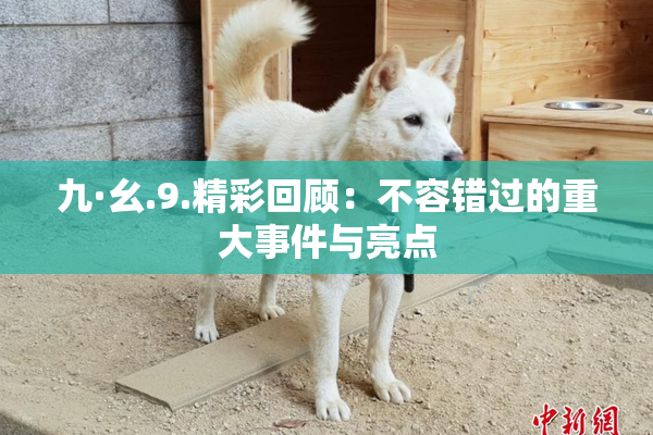 九·幺.9.精彩回顾：不容错过的重大事件与亮点